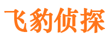 绿春市私家侦探